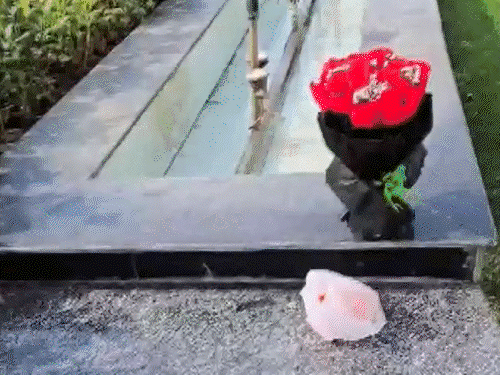 दिल्ली विधानसभा का बैरियर तोड़कर घुसी कार:VIP गेट से एंट्री की, ड्राइवर स्पीकर ऑफिस के पास गुलदस्ता रख फरार हुआ