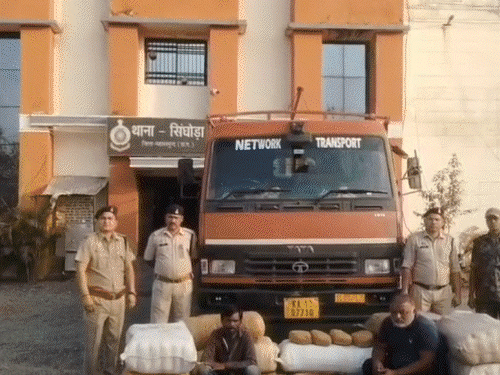 महासमुंद में 5 दिन में 3 करोड़ का गांजा पकड़ाया:कर्नाटक-महाराष्ट्र पासिंग गाड़ी से कर रहे थे तस्करी; सप्लायर समेत 10 गिरफ्तार