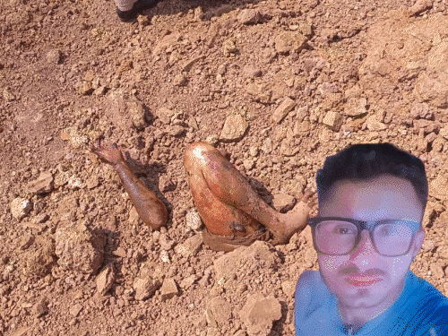 रायपुर में पाकिस्तानी मूल के युवक को जिंदा दफनाया:4 थानों से होते हुए 40KM ऑटो में ले गए; गर्लफ्रेंड को परेशान करने पर हत्या