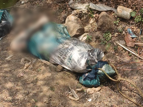 महासमुंद में अलग-अलग 3 मर्डर:गाली देने पर दोस्त का सिर फोड़ा, पिता ने शराबी बेटे को मारा, विवाद में चाकू मारकर हत्या