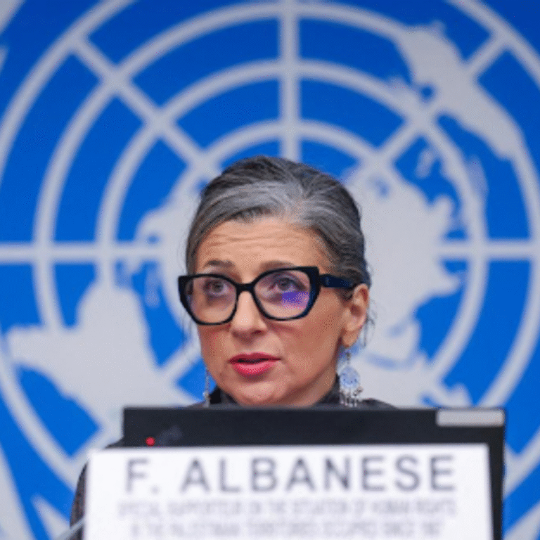 UN दूत बोलीं-भारत ने इजराइल की मदद कर कानून तोड़ा:हथियार भेजना नियमों के खिलाफ, इससे ग्लोबल सिस्टम कमजोर हो रहा