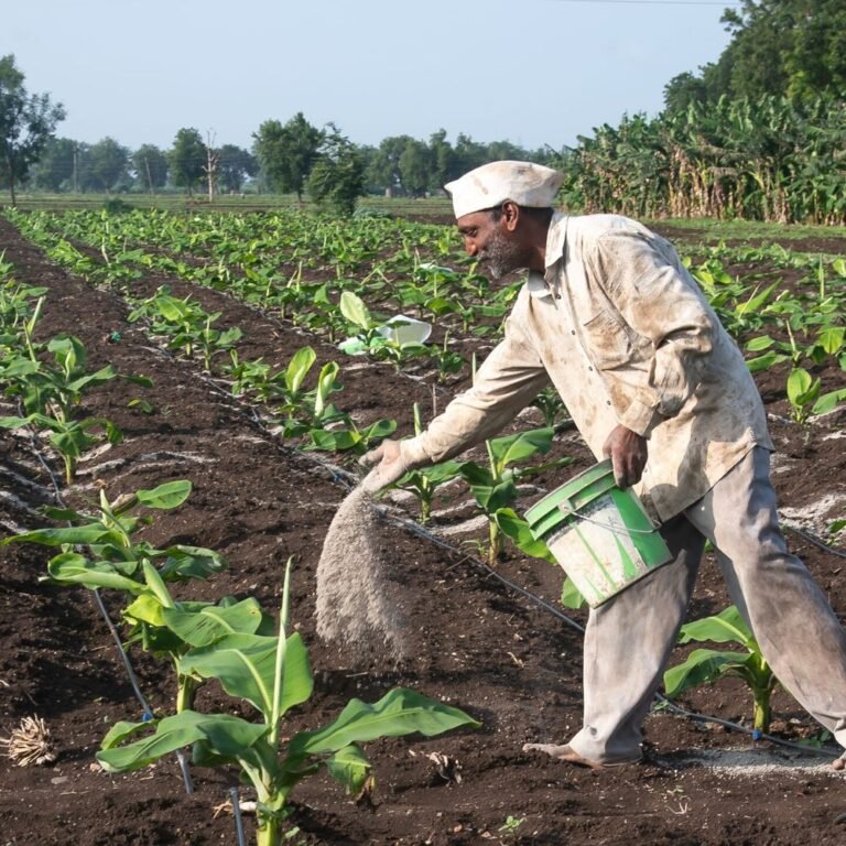 ईरान-जंग की वजह से भारत में उर्वरक उत्पादन 25% घटा:जानें- प्रोडक्शन घटने के क्या कारण हैं और इसका देश पर क्या असर होगा?