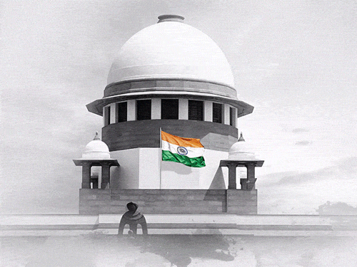 आवारा कुत्ते मामले में सुप्रीम कोर्ट में सभी याचिकाएं खारिज:पिटीशन में मांग थी- पकड़े गए डॉग्स को नसबंदी के बाद उसी स्थान पर न छोड़ें