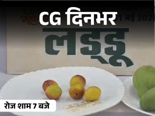 छत्तीसगढ़ दिनभर, 10 बड़ी खबरें:पत्नी के बॉयफ्रेंड का मर्डर, युवती से रेप, बैलगाड़ी से निकली BJP विधायक की बारात, 6 किलो का हाथीझूल आम