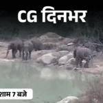 छत्तीसगढ़ दिनभर, 10 बड़ी खबरें:पति-पत्नी ने लगाई फांसी, BJP नेता पर भड़के अधिकारी, तेल गोदाम में भीषण आग, जलाशय के पास हाथियों का डेरा