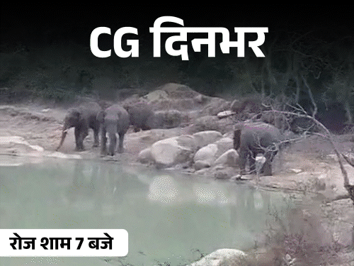 छत्तीसगढ़ दिनभर, 10 बड़ी खबरें:पति-पत्नी ने लगाई फांसी, BJP नेता पर भड़के अधिकारी, तेल गोदाम में भीषण आग, जलाशय के पास हाथियों का डेरा