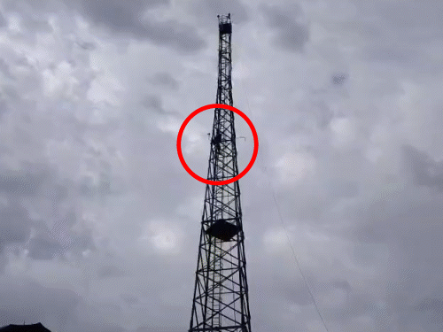 थाने में लगे टावर पर चढ़कर महिला ने लगाई फांसी:सुसाइड रिलेटेड VIDEO देखा करती थी, 100 फीट ऊंचाई पर लटकता मिला शव