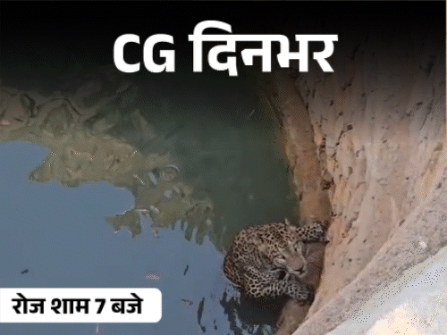 छत्तीसगढ़ दिनभर, 10 बड़ी खबरें:झारखंड में 35 लड़कियां बंधक, पति-पत्नी को कुचला, IPL टिकटों की कालाबाजारी, तेंदुए का आतंक