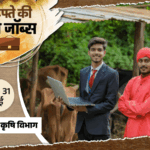 हफ्ते की टॉप जॉब्स:SSC CGL की 12,256 भर्तियों का नोटिफिकेशन जारी, RSSB में 3951 वैकेंसी; इस हफ्ते 20,866 नौकरियां