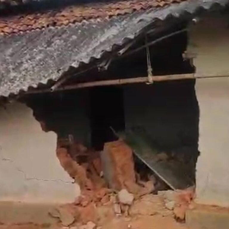 रात के अंधेरे में बस्ती तक पहुंचे हाथी:रायगढ़ में 6 ग्रामीणों के कच्चे मकान तोड़े, बाइक सवार को किया घायल, लोगों में दहशत