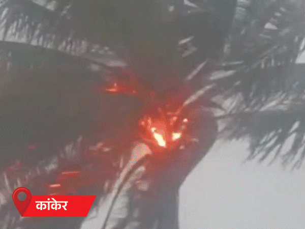 7 दिन बिजली गिरने और बारिश का अलर्ट:मानसून की लेट एंट्री, फिर भी आधे से अधिक हिस्सा कवर, कोटे से 69% कम बारिश