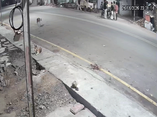 पिकअप से 2 युवकों कुचलने की कोशिश, VIDEO:बिलासपुर में गाड़ी से उतरते ही पाइप और डंडे से दौड़ा-दौड़ाकर पीटा, पुरानी रंजिश में किया हमला