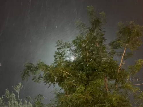 5 दिन आंधी-बारिश का अलर्ट, कल से आगे बढ़ेगा मानसून:2 दिन बढ़ सकता है टेम्प्रेचर, सेंट्रल छत्तीसगढ़ में हीटवेव चल सकती है
