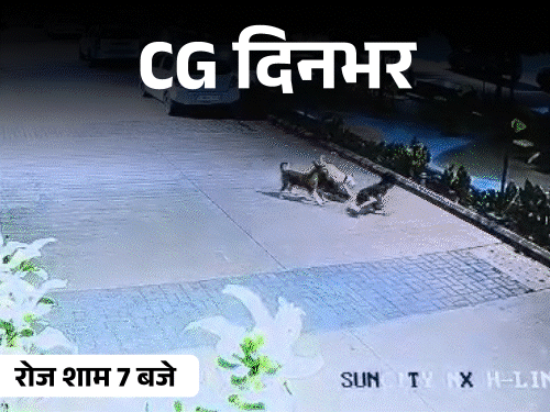 छत्तीसगढ़ दिनभर, 10 बड़ी खबरें:टायर फटा, 15 फीट उछले युवक; जेल में बंद छात्र देगा NEET, कुत्तों ने 5 साल के बच्चे को नोंचा