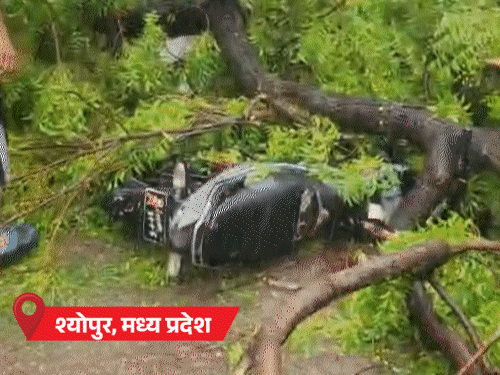 मानसून शाम तक केरलम पहुंच सकता है:राज्य में अगले 7 दिन तक भारी बारिश का अनुमान; MP-छत्तीसगढ़ में प्री-मानसून एक्टिव