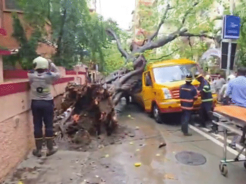 मुंबई में चलती स्कूल बस पर पेड़ गिरा:बस में फंसे एक छात्र की मौत, 11 घायल; सभी स्टूडेंट स्कूल से घर लौट रहे थे