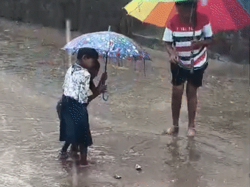 छत्तीसगढ़ में मानसून पर ब्रेक, एंट्री से पहले थमी रफ्तार:5 दिन तेज बारिश के आसार, कई जिलों में 50 किमी की रफ्तार से चल सकती है हवा