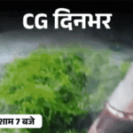 छत्तीसगढ़ दिनभर, 10 बड़ी खबरें:फार्महाउस में पति की लाश, CGPSC घोटाला केस में छापा, जिंदा जला ड्राइवर, बिजली गिरने से 3 की मौत