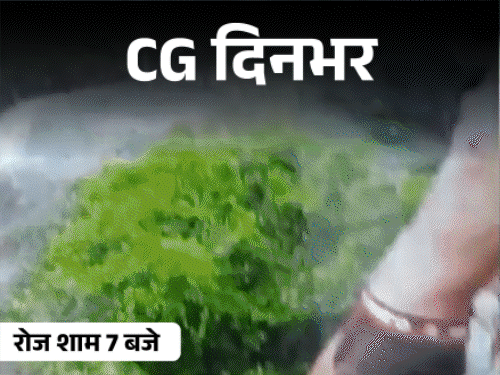 छत्तीसगढ़ दिनभर, 10 बड़ी खबरें:फार्महाउस में पति की लाश, CGPSC घोटाला केस में छापा, जिंदा जला ड्राइवर, बिजली गिरने से 3 की मौत