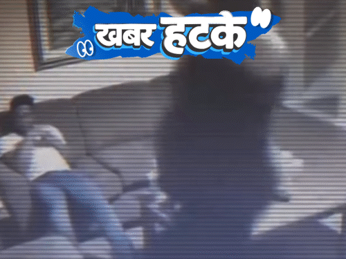 खबर हटके- बॉयफ्रेंड पर कूदी 136 किलो की गर्लफ्रेंड,मौत:सोशल मीडिया से परेशान गांव वालों ने तोड़े मोबाइल; 194 साल के कछुए ने वर्ल्ड-रिकॉर्ड बनाया