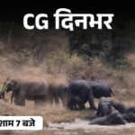 छत्तीसगढ़ दिनभर, 10 बड़ी खबरें:युवती की गोली मारकर हत्या, बच्चा नहीं होने पर ट्रिपल तलाक, फायर सेफ्टी पर HC की फटकार, हाथियों की मस्ती