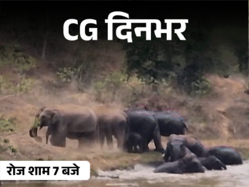 छत्तीसगढ़ दिनभर, 10 बड़ी खबरें:युवती की गोली मारकर हत्या, बच्चा नहीं होने पर ट्रिपल तलाक, फायर सेफ्टी पर HC की फटकार, हाथियों की मस्ती