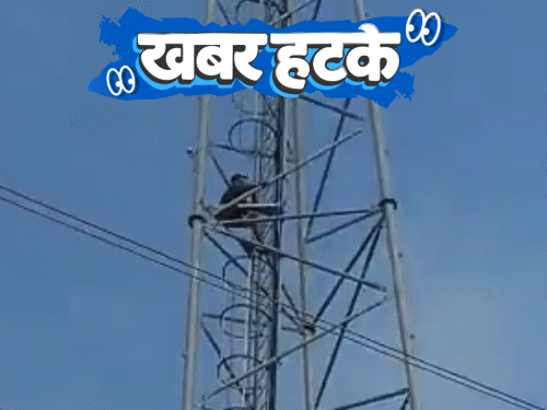 खबर हटके-तीसरी पत्नी को मनाने टावर पर चढ़ा युवक:गार्ड रील देखते रहे, जेल से भागा रेप का दोषी; बिल्ली अमर बनाने वैज्ञानिक का अपहरण