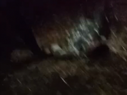 आरक्षक पर चढ़कर लात-मुक्कों और ड्राइवर को चप्पल से पीटा,VIDEO:सूरजपुर एक्सीडेंट में 3 दोस्तों की मौत,घायलों को लेने पहुंची डायल-112 टीम पर फूटा गुस्सा