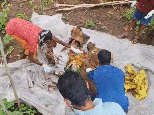 3 भतीजों ने चाचा-चाची को कुल्हाड़ी से काट-डाला:शव बोरे में भरकर श्मशान में दफनाया, गांव में दूसरी मौत से खुला राज;कब्र खोदकर निकाले शव