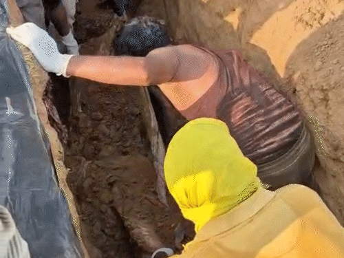 बलौदाबाजार में 8 लोगों की संदिग्ध मौत:कब्र खोदकर निकाले गए शव, मेकाहारा में चल रहा पोस्टमॉर्टम, खजाने के लिए जहरीली शराब पिलाने की आशंका