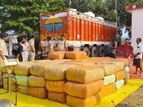 लाइव ट्रैकिंग पर था ‘सरगना’,CG-UP बॉर्डर पर दबोचा:ओडिशा से ट्रक में लाया करोड़ों का गांजा; बलरामपुर पुलिस ने पकड़ी अबतक की सबसे बड़ी खेप