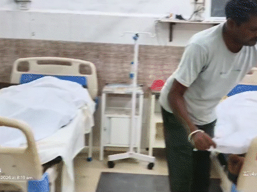 5 दिन अंधड़-बारिश की चेतावनी:2-3 दिनों में हो सकती है मानसून की एंट्री, कोरबा में दंपती पर गिरा पेड़, पति की मौत