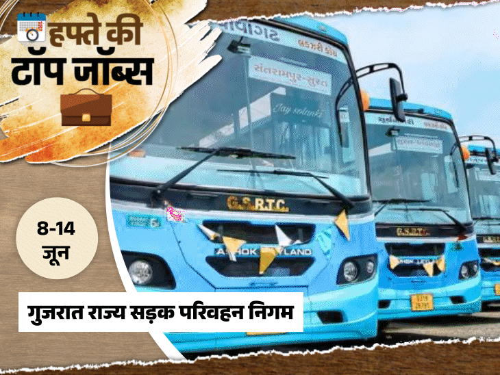 हफ्ते की टॉप जॉब्स:गुजरात में 12वीं पास की 8917 भर्तियां, पंजाब में 10वीं पास की 6289 वैकेंसी; इस हफ्ते निकलीं 18,481 नौकरियां