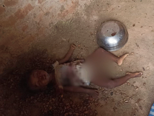 मां और 10 महीने की बेटी की सिर-चेहरा कुचलकर हत्या:रायगढ़ में फिर डबल-मर्डर, 5 दिन पहले रिटायर्ड-SECL कर्मचारी और पत्नी को मारकर जलाया था