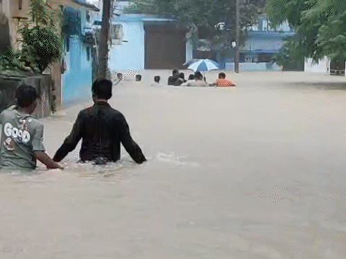 बिलासपुर में रातभर झमाझम बारिश…घरों में घुसा पानी,VIDEO:सड़कों पर बहा नाले का पानी, निचली कॉलोनियां जलमग्न, जलभराव से लोग परेशान,आज भी बारिश का अलर्ट