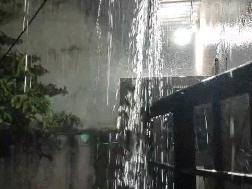 बिलासपुर में रातभर झमाझम बारिश, स्कूलों में छुट्टी:घरों-सड़कों पर भरा पानी, रायगढ़ में बिजली गिरने से महिला की मौत, 7 दिन बरसेगा पानी