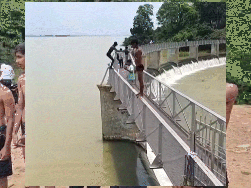 रील्स बनाने के लिए युवकों का खतरनाक स्टंट, VIDEO:बिलासपुर में डैम में लगा रहे छलांग, पुलिस ने कान पकड़वाकर कराई उठक-बैठक
