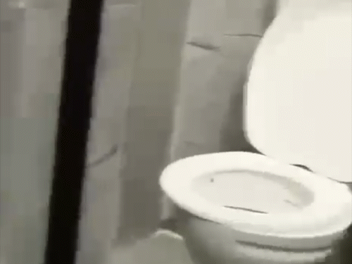 टॉयलेट में धुल रही थीं प्लेटें,पापा ढाबे का लाइसेंस सस्पेंड:संचालक और नगर पालिका अध्यक्ष बोले- बदनाम करने के लिए वायरल किया वीडियो