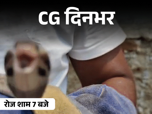 छत्तीसगढ़ दिनभर, 10 बड़ी खबरें:लिव-इन पार्टनर को पीटा, छात्रा का सुसाइड, रेल मंत्री को डॉ. रमन का पत्र, कोबरा-करैत ने 5 बच्चों को डसा