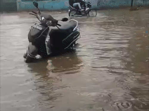 खेत में मां-बेटी की मौत, खड़े ट्रक पर बिजली गिरी:कोरबा में 6 साइबेरियन पक्षी, बीजापुर 9 बकरियां झुलसी, घरों में घुसा बारिश का पानी