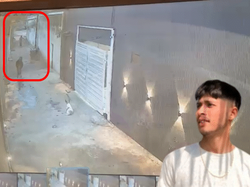 भिलाई में गर्लफ्रेंड संग होटल गया, बेड पर मिली लाश:स्कार्फ पंखे से बंधा था, भाई बोला- शादाब सुसाइड नहीं कर सकता, हत्या हुई