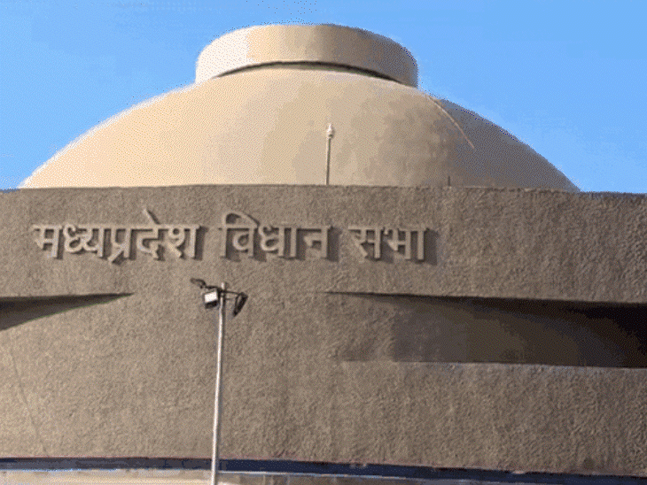 MP में 17 लाख बेरोजगार, इनमें सबसे ज्यादा OBC:डिप्टी CM, रोजगार मंत्री के जिले की हालत खराब; सरकार का दावा- 240 दिन में 8 लाख घटे