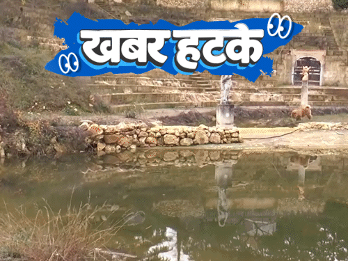 खबर हटके- टॉयलेट बाउल से ड्रिंक पीकर ₹1 लाख जीता:खंडहर को टूरिस्ट स्पॉट बताकर 10 साल तक ठगा; अब जीभ से चलेगा कंप्यूटर
