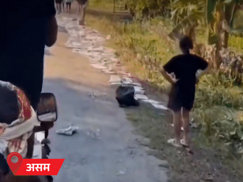 गुजरात और असम में बारिश-बाढ़ के खिलाफ सेना मोर्चे पर:छत्तीसगढ़-ओडिशा में रेड अलर्ट; बंगाल की खाड़ी में तूफान की आशंका; आंध्र में 65kmph रफ्तार से आंधी चलेगी