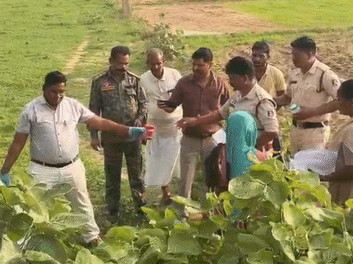 घर लौट रही महिला को बंधक बनाकर गैंगरेप:खेत ले गए, साड़ी से हाथ-पैर बांधकर वारदात, फिर पेशाब किया; गांव के 3 युवक अरेस्ट