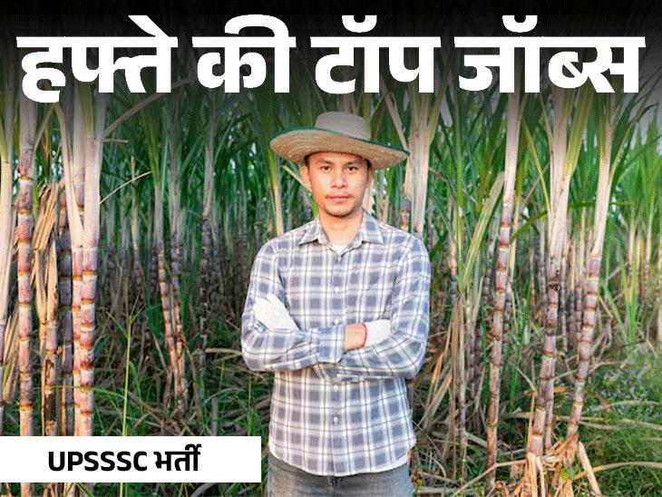 हफ्ते की टॉप जॉब्स:पुलिस विभाग में 7437 पदों पर भर्ती, असिस्टेंट प्रोफेसर की 3687 वैकेंसी; इस हफ्ते निकलीं 13,737 नौकरियां