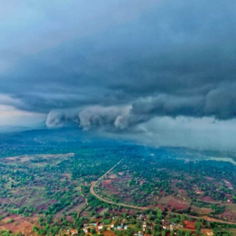 बस्तर में बादलों का डेरा:पूरे छत्तीसगढ़ में सक्रिय हुआ मानसून; बारिश की गतिविधियां तेज होंगी, एक हफ्ते वर्षा संभव
