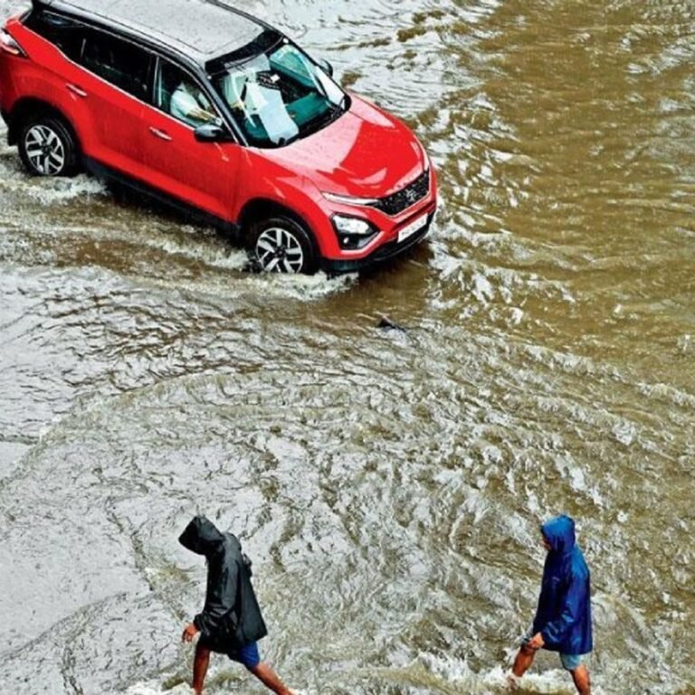 जुलाई की वर्षा ने बदली तस्वीर:6 दिन की बारिश से 67 प्रतिशत कमी घटकर 18 प्रतिशत रह गई; बालौदाबाजार में 24 घंटे में 200 एमएम बारिश
