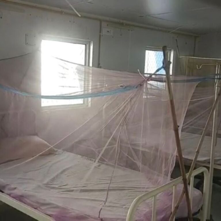 बचाव के आदेश फाइलों में दबे रहे, कलेक्टरों ने नहीं खरीदी मच्छरदानी
