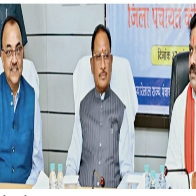 नई पहल:मुख्यमंत्री विष्णुदेव साय ने आदर्श गांवों की पहचान के दिए निर्देश